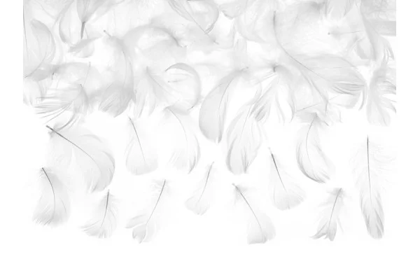 Dekoratyvinės plunksnos, baltos, 3 g