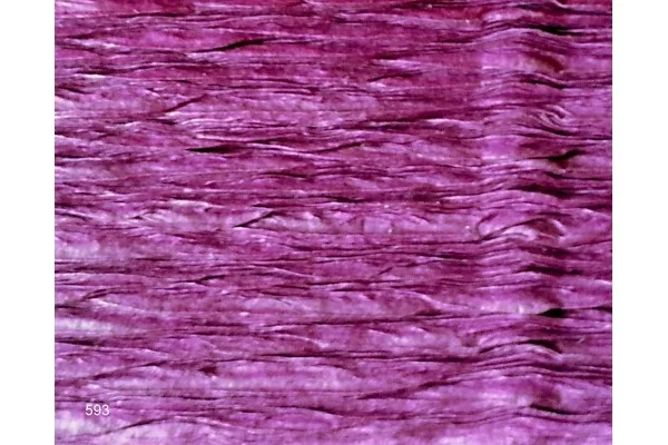 Krepinis popierius Violetinis 593, 50x250 cm