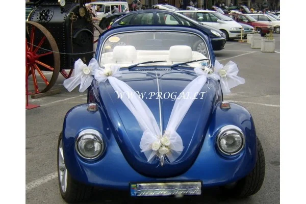 Vestuvinė dekoracija automobiliui Svajonė