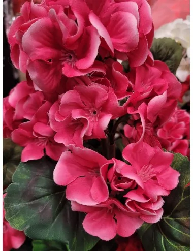 Pelargonijos, dirbtinės puokštės vazone, rožinės