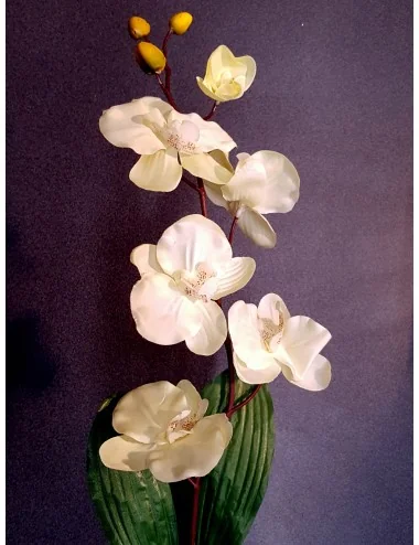 Dirbtinės orchidėjos, su lapais, šaka 75cm